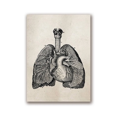 collection-banner-image